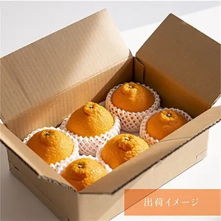 先行受付!　数量限定　不知火　樹上完熟　約2kg　大玉6個入　こだわり農家厳選!【1485757】