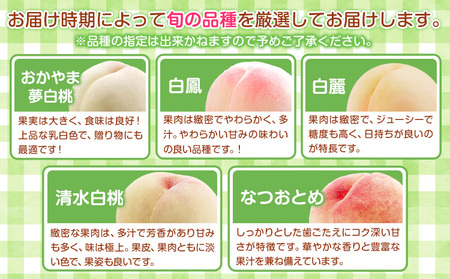 岡山の白桃 エース 約1.5kg(5～6玉) 【配送不可地域あり】