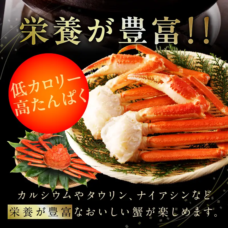 生ずわい蟹 2kg 5Lサイズ 4肩前後 昆布仕立て