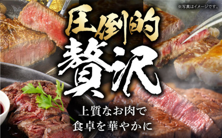 【全12回定期便】 長崎和牛 ステーキ極旨コース 総計23.4kg / モモ リブロース イチボ サーロイン ランプ ヒレ レモンステーキ / 肉 牛肉 焼肉 / 波佐見町 / 野中精肉店 [VF84]
