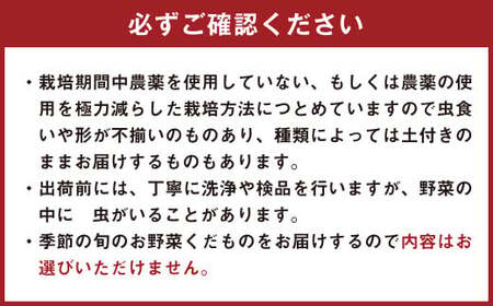 152-1057 【北海道・沖縄県・離島への配送不可】 豊後大野市の旬の お野菜 くだもの セット 8～10品 大分県産 フルーツ 旬 青果 