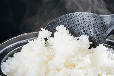 【令和8年産新米先行予約】新潟産 コシヒカリ 精米10kg（5kg×2袋）《10月上旬～順次出荷》 ミネラル豊富な土壌で育ったお米 加茂市 太蔵ファーム
