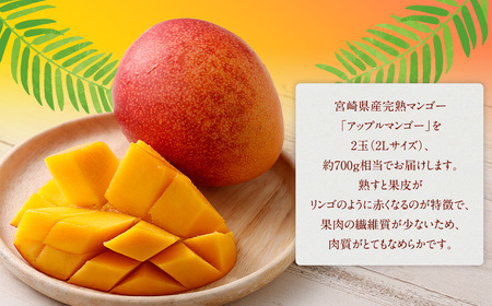 ＜宮崎県 完熟マンゴー2L×2玉 700g＞2026年4月上旬～7月上旬までに順次出荷【HI-f-001】 マンゴー 完熟 果物 くだもの フルーツ 高鍋町