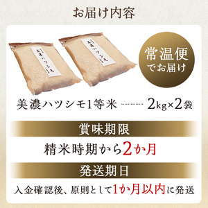 2025年産米　美濃ハツシモ　1等米4kg（2kg×2袋）【0021-006】 