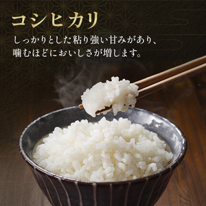 【定期2ヶ月】コシヒカリ 乾式無洗米 5kg 令和7年産 お米 銘柄米 ご飯 おにぎり お弁当 和食 食卓 精米 国産 千葉県産 産地直送 
