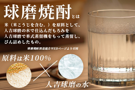 メガボトル4L×4本！ 球磨焼酎【米一石】エコペット 25度 計16L 米焼酎 蔵元直送 16リットル パーティサイズ TWSC金賞 酒 米 米焼酎 純米 焼酎 受賞歴 大容量 熊本 球磨 球磨焼酎 多良木町 040-0587