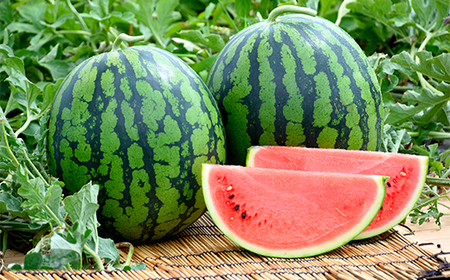 先行予約 全3回 フルーツ定期便 さくらんぼ 佐藤錦 尾花沢すいか もも 令和8年産  ja-ft3cx-b-mo