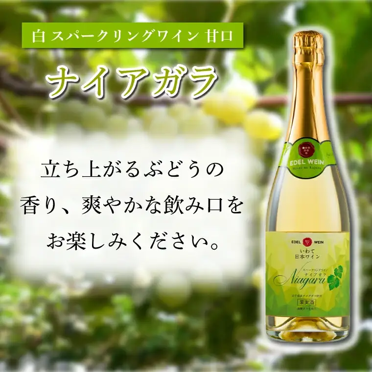 AS011 甘口スパークリング　ロゼ・白セット