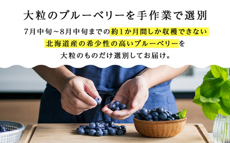 【2026年夏発送】ブルーベリー 数量限定 大粒 有機 無農薬 冷蔵 オーガニック 250g 4パック 1kg 千歳市産 【ベリーファーム】