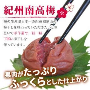 【1125-2】しそ漬け梅干（紀州南高梅）1.6kg 大粒 3L以上 和歌山県産