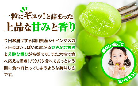 【2026年発送】シャインマスカット 2kg  ひらた農園 マスカット