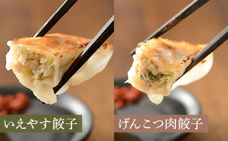 浜松餃子 和風だし 肉餃子 いえやす 2種 48個 食べ比べ 餃子 国産 冷凍 ぎょうざ