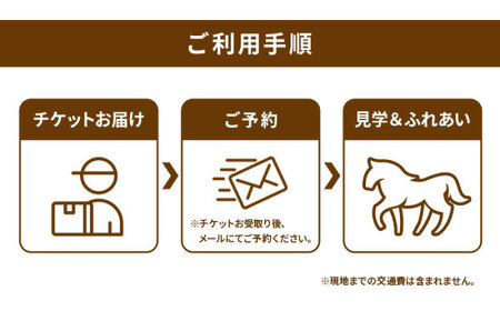 TCCセラピーパーク施設見学＆ふれあい チケット (1名様分） BIAV002 競馬 引退馬