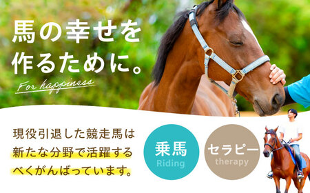 TCCホースシュー 世界に一つだけの蹄鉄 BIAV003 競馬 競馬グッズ