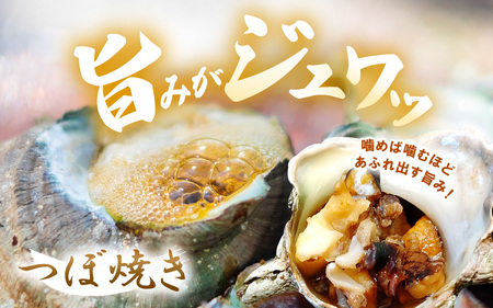 【先行予約】天然 活サザエ 2kg 鮮度抜群! 若狭湾の素潜り さざえ【2026年6月中旬以降順次発送予定】  [m17-a048]