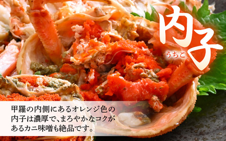 《冷凍》獲れたて!茹でたての 越前せいこがに 中 2杯 越前がに メス せいこがに　[m17-a060]