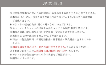 熊本市周遊！ 貸切観光タクシー フリー利用券 (ハイヤー・2時間)