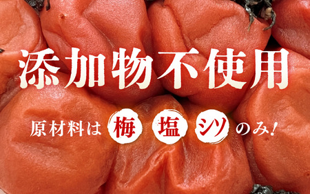 【へしこの町】福井 梅干し 300g × 1個 ＆ 美浜産 へしこ × 1本 Aセット【鯖 サバ さば 福井 美浜 若狭 名産 郷土料理 ぬか漬け 糠漬け 発酵 コシヒカリ つまみ 酒の肴 珍味 伝統 うめぼし 三方 自家製 敬老の日 ギフト プレゼント】 [m20-a008]