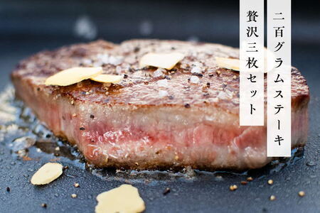 《佐賀牛》「梁井」希少部位 ヒレステーキ 3枚 600g K081034
