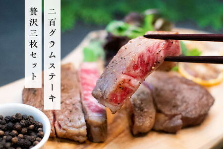 《佐賀牛》「梁井」霜降りロースステーキ 3枚 600g K081038