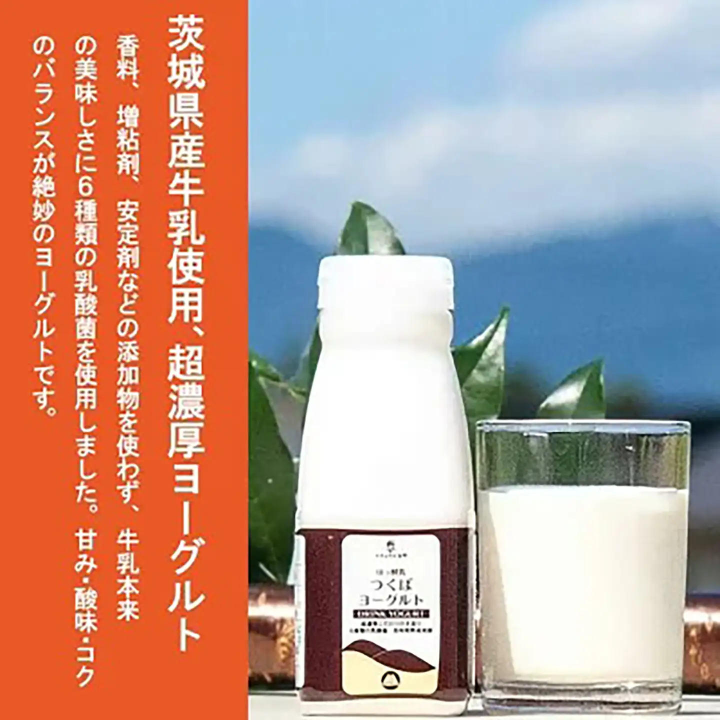 炭火で仕上げる しっとりスモークササミ(100g×4パック)とドリンクヨーグルト(200ml×1本) 筑波ハム【 ササミ 茨城県ササミ つくば市ササミ おすすめササミ 人気ササミ 】