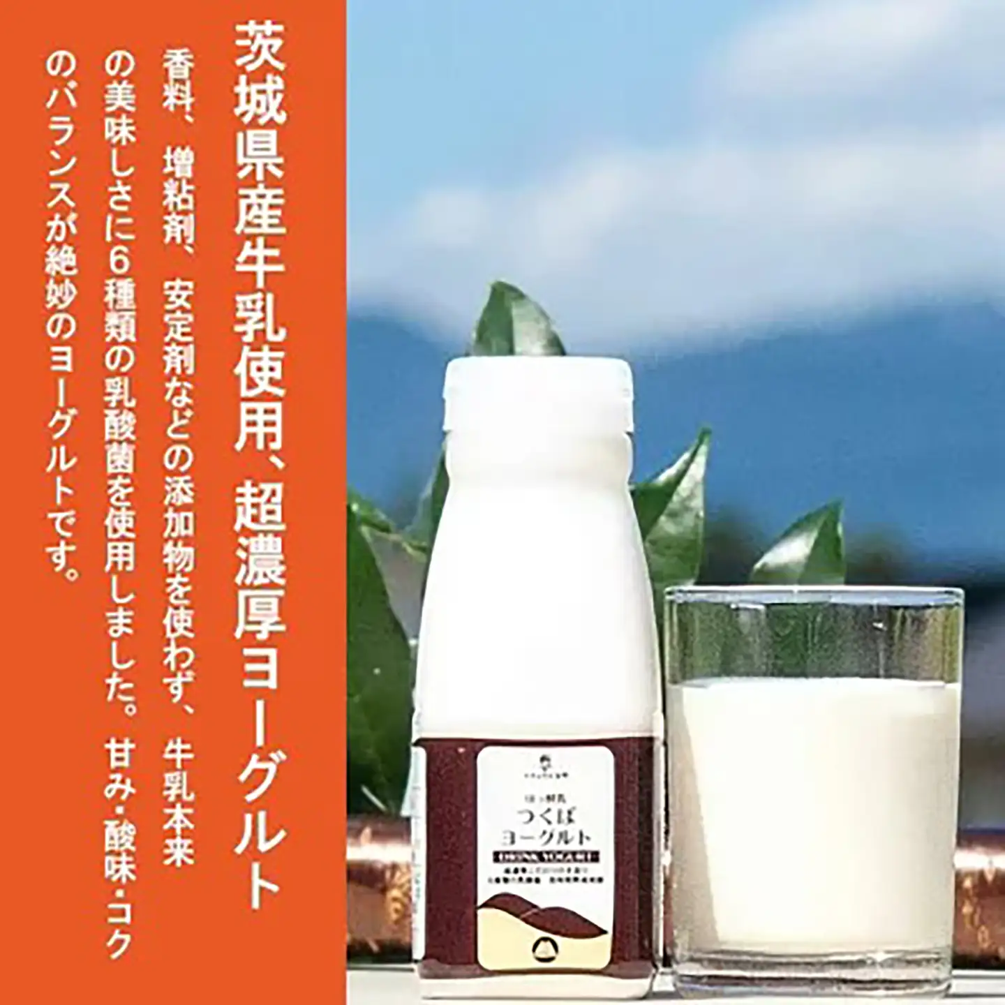炭火使用 筑波ハム人気製品　スモークレバー(100g×5P)とドリンクヨーグルト(200ml×1本)【 レバー 茨城県レバー つくば市レバー おすすめレバー 人気レバー 】