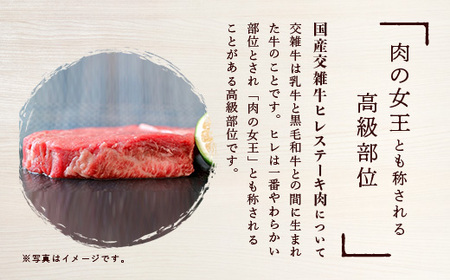 厳選高級部位牛ヒレステーキ4枚(約520g)  ヒレ肉