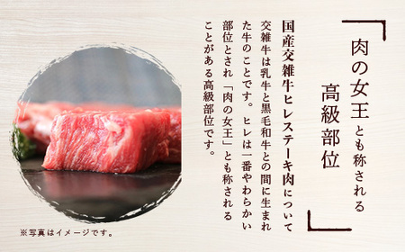 厳選高級部位牛ヒレ肉サイコロステーキ500g ヒレ肉