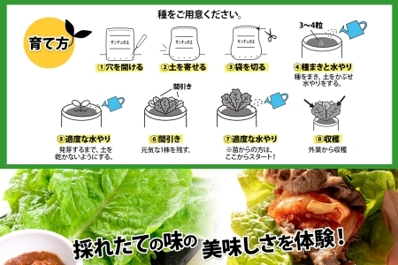 北海道 サンチュの土 5L 1袋 培養土 園芸 家庭菜園 プランター 袋のまま栽培 野菜 サンチュ 焼き肉 焼肉 サムギョプサル レタス 畑 土づくり 初心者 送料無料 十勝 士幌町 【F18】