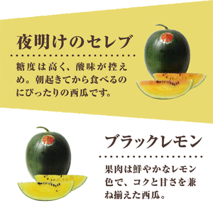 【2026年先行予約】北杜市白州産すいか「すいかばか！」のこだわりの特選すいか セレブシリーズと名水甲羅の中から2玉セット [h047]