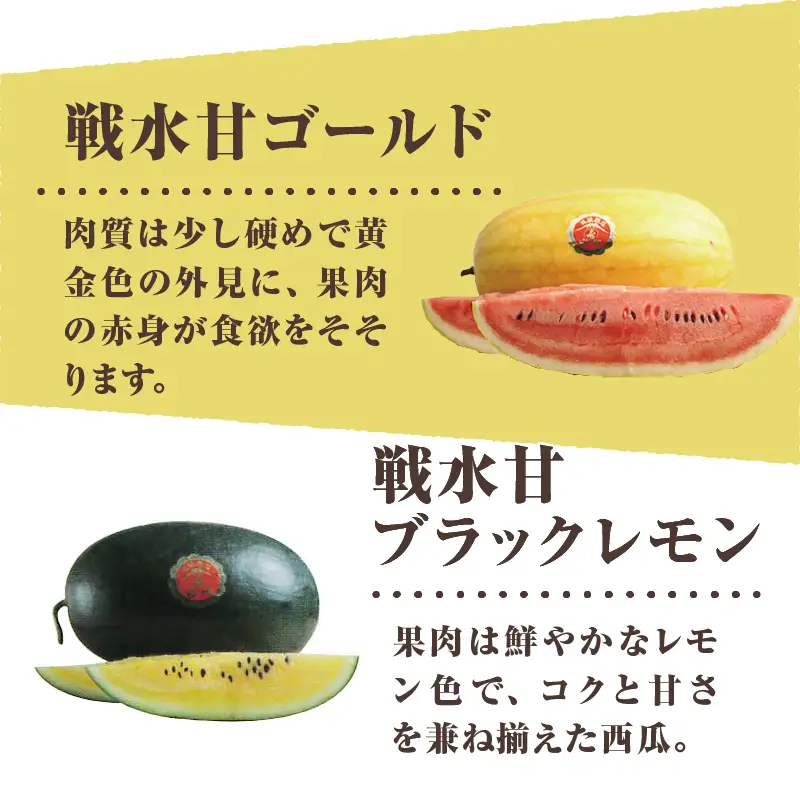 【2026年先行予約】北杜市白州産すいか「すいかばか！」のこだわりの特選すいか 戦水甘シリーズと名水甲羅の中から2玉セット [h047]