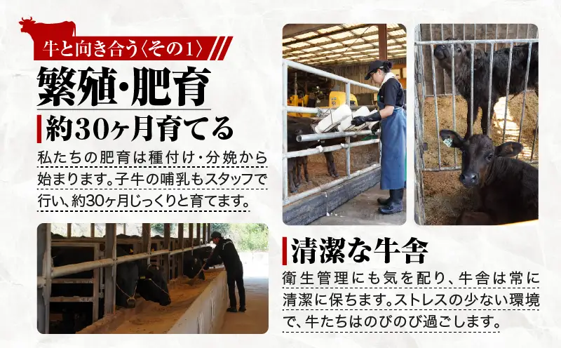113-1 鹿児島県産 黒毛和牛 A-5等級 特選 サーロイン しゃぶしゃぶ 用 650g KN019-004 肉 牛 冷凍