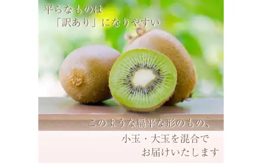 わけあり キウイ 1kg+250g（傷み補償分） 扁平果 / 和歌山 家庭用 フルーツ 果物 くだもの ※2026年11月中旬より2027年4月下旬頃順次発送予定 ※北海道・沖縄・離島配送不可 【ikd701B】