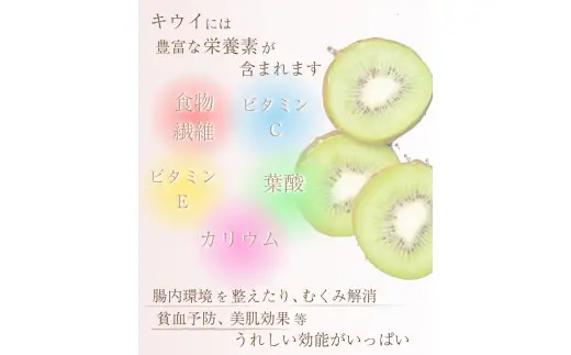 厳選 キウイ 1kg+250g （傷み補償分）【扁平果】  / 和歌山 フルーツ 果物 くだもの ※2026年11月中旬より2027年4月下旬頃順次発送予定 ※北海道・沖縄・離島配送不可 【ikd702B】