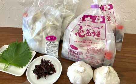 にんにく餃子(22個入り×2袋)と梅しそ餃子(22個入り×2袋)　3ヶ月毎4回お届け 惣菜 冷凍餃子 中華 夕飯 夜ごはん おかず 食べ比べ おつまみ ビールのおつまみ 