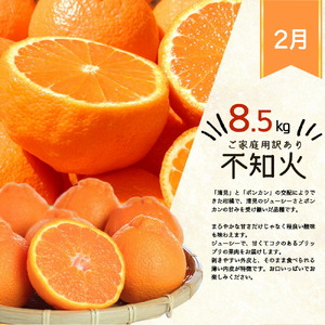 G60-T81_【定期便 全3回】紀州和歌山産 旬のご家庭用 柑橘セット（みかん・不知火・レモン）