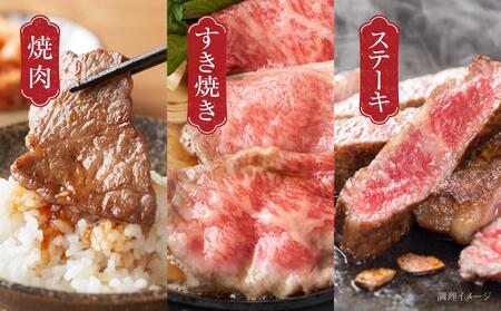 【定期便】飛騨牛 全５回（焼肉・すき焼き・ステーキ）計3kg | 焼肉 ステーキ カルビ 食べ比べ 牛 定期【飛騨高山ミート MZ100】〔国産和牛定期便  牛肉定期便 ステーキ  飛騨牛定期便　５回〕　