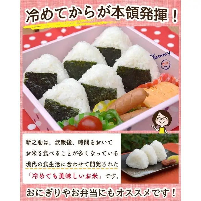 佐渡島産 新之助 白米20kg(5kg×4袋）令和7年産 【食の宝島佐渡】