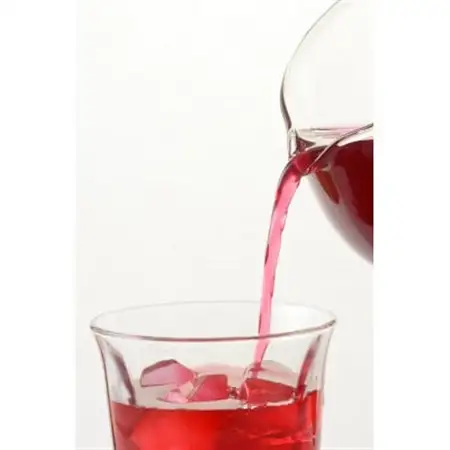 濃縮しそジュース 500ml×2本_飲料・ドリンク 野菜ジュース ジュース _【1483404】