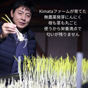 食べるにんにくオイル（ オリーブオイル ）5個セット 90g × 5個 （ 450g ） kimataファーム にんにく スプラウト 発芽ニンニク ガーリックオイル 臭わない 和洋中華 和食 洋食 中華 新潟県 見附市