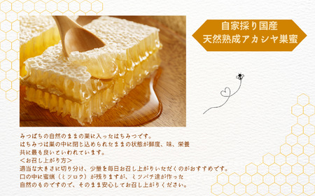 自家採り国産 天然熟成アカシヤ巣蜜  | ハチミツ 蜂蜜 【株式会社渡辺養蜂場】