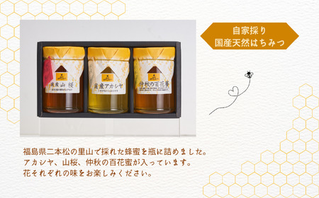 国産天然はちみつ 3本セット(220g×3) | ハチミツ 蜂蜜【株式会社渡辺養蜂場】
