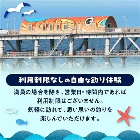 岬町海釣り公園・とっとパーク小島利用券【11枚セット】_旅行券・チケット  入場券・優待券 _【1267397】