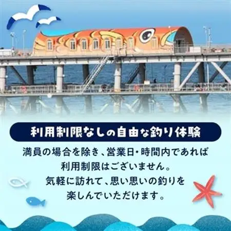 岬町海釣り公園・とっとパーク小島利用券【大人用3枚セット】_旅行券・チケット  入場券・優待券 _【1267399】