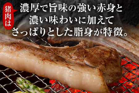 猪肉スペアリブ 約900g（約300g×3）ジビエ 猪 いのしし 骨付き 焼肉 焼き肉 アウトドア BBQ みやこ肉 獣 キャンプ イノシシ肉 炭火焼き 鉄板焼き 煮込み グリル