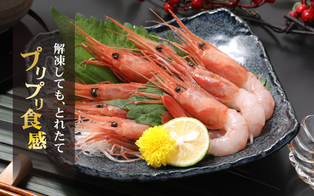 新鮮美味！甘エビ(船凍甘エビ 中サイズ)約500g おいしいたまり醤油付 甘えび [m21-a038]