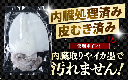【先行予約】新鮮で便利！旬の アオリイカ 刺身用 大サイズ 3枚 約1.3kg 【2026年10月下旬以降順次発送予定】 あおりいか アオリイカ   [m21-e006]