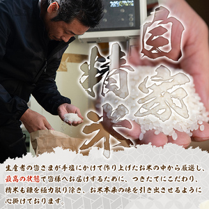 isa571 鹿児島県産！伊佐米ヒノヒカリ和～なごみ～ (計900g・450g×2個) お米 白米 ひのひかり 詰め合わせ 小分け【神薗商店】