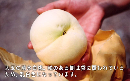 岡山県産「清水白桃」約2.2kg（大玉6～7玉）【26年7月上旬以降に順次発送】