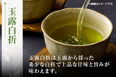 玉露白折 上煎茶 2点セット 福岡 八女産 八女茶 緑茶 日本茶 玉露 煎茶 飲み比べ 詰め合わせ セット 送料無料